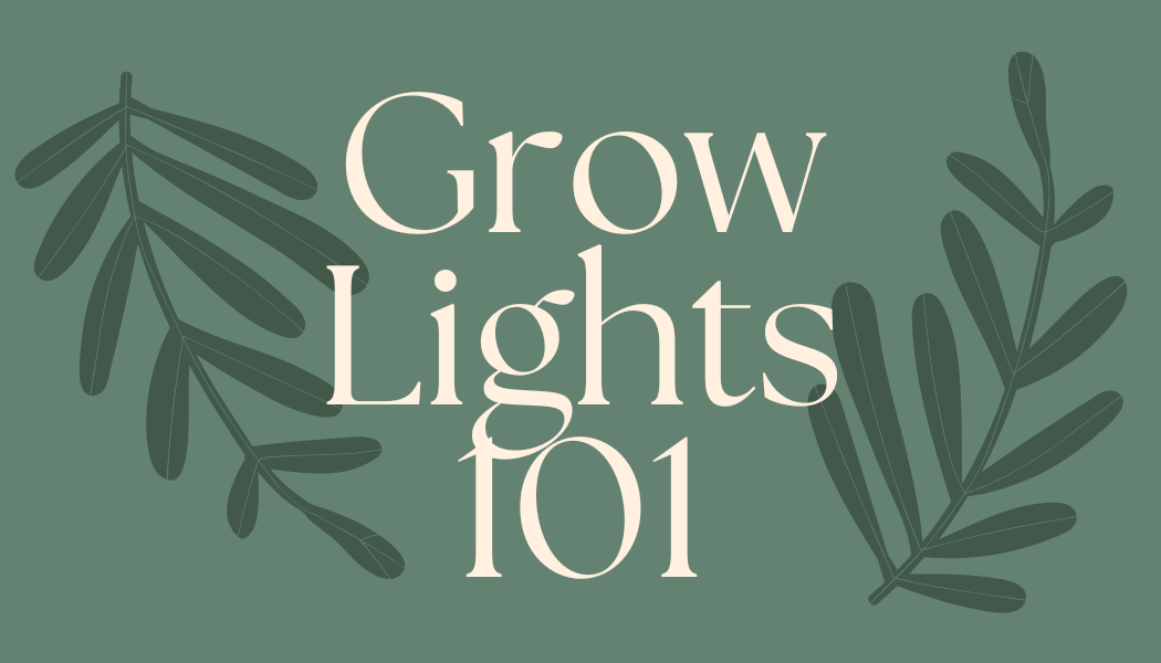 No Widow, No Problem: Understanding Grow Lights