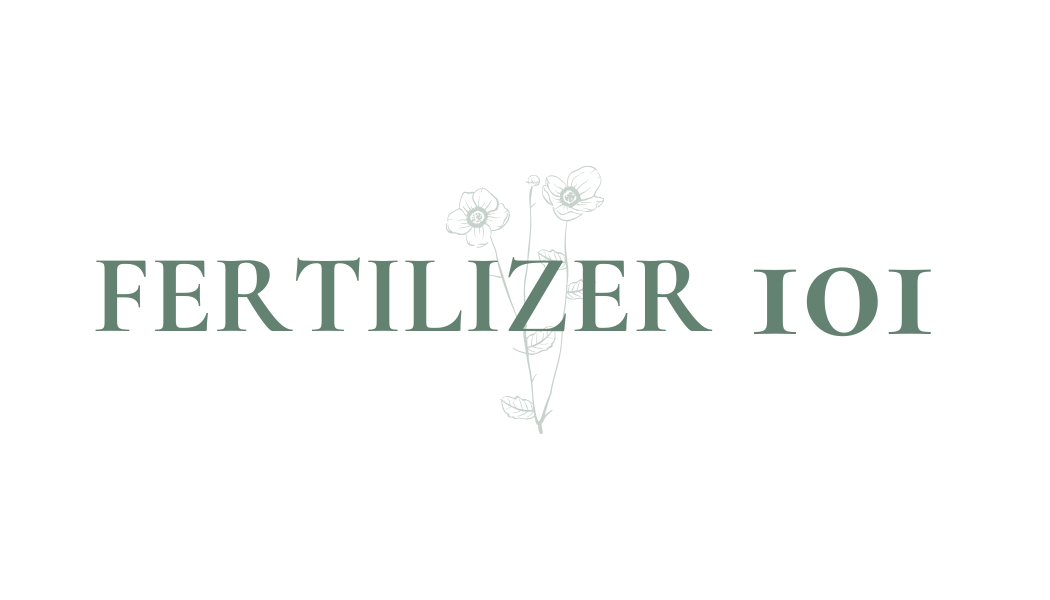 Fertilizer 101: Feeding Your Plants the Right Way